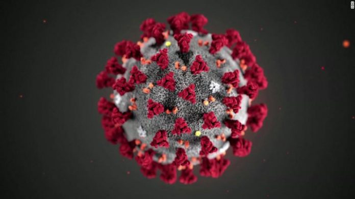 koromavirus_2