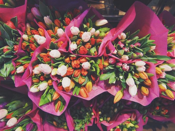 flowers-1245820_1280