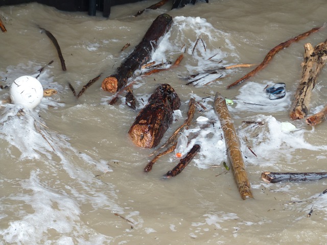 driftwood-123209_640