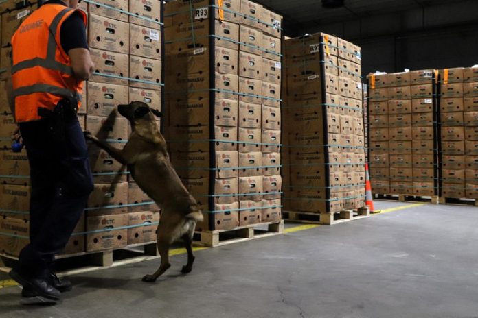 BELGIUM-CRIME-DRUGS-DIPLOMACY