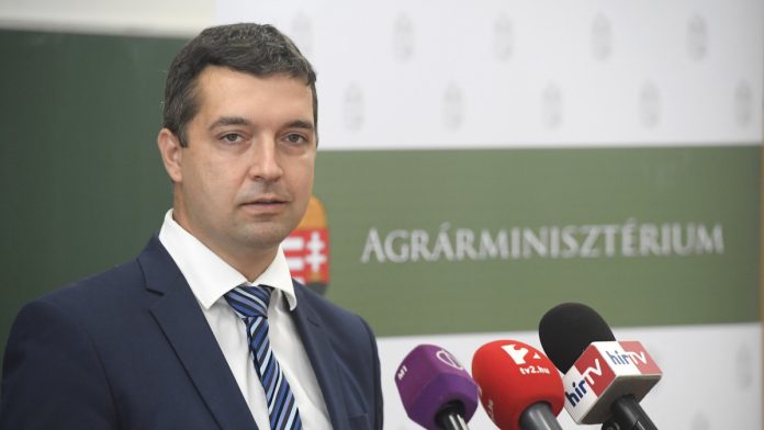 feldman zsolt