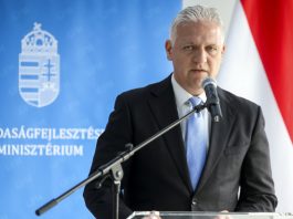 NGM-államtitkár: a gazdasági növekedési célokat a kkv-szektor megerősödésével lehet elérni