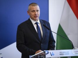 Paks – Ruszin-Szendi Romulusz: a katonák több mint 22 ezer köbméter követ építettek be a Duna medrébe